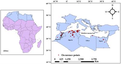 Dendrochronological studies in North Africa: reality and prospects